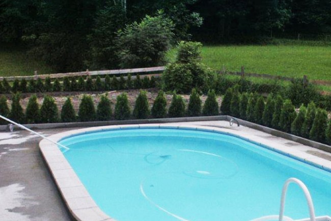 Schwimmbad-Sanierung